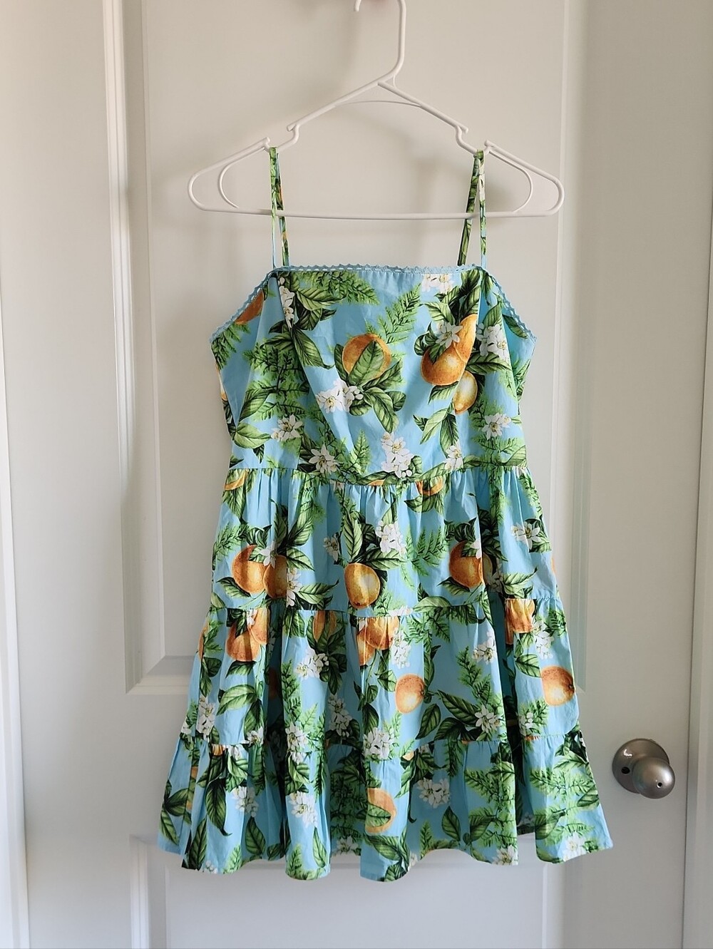BB Dakota Summer Orchard Dress in Sky Blue Floral